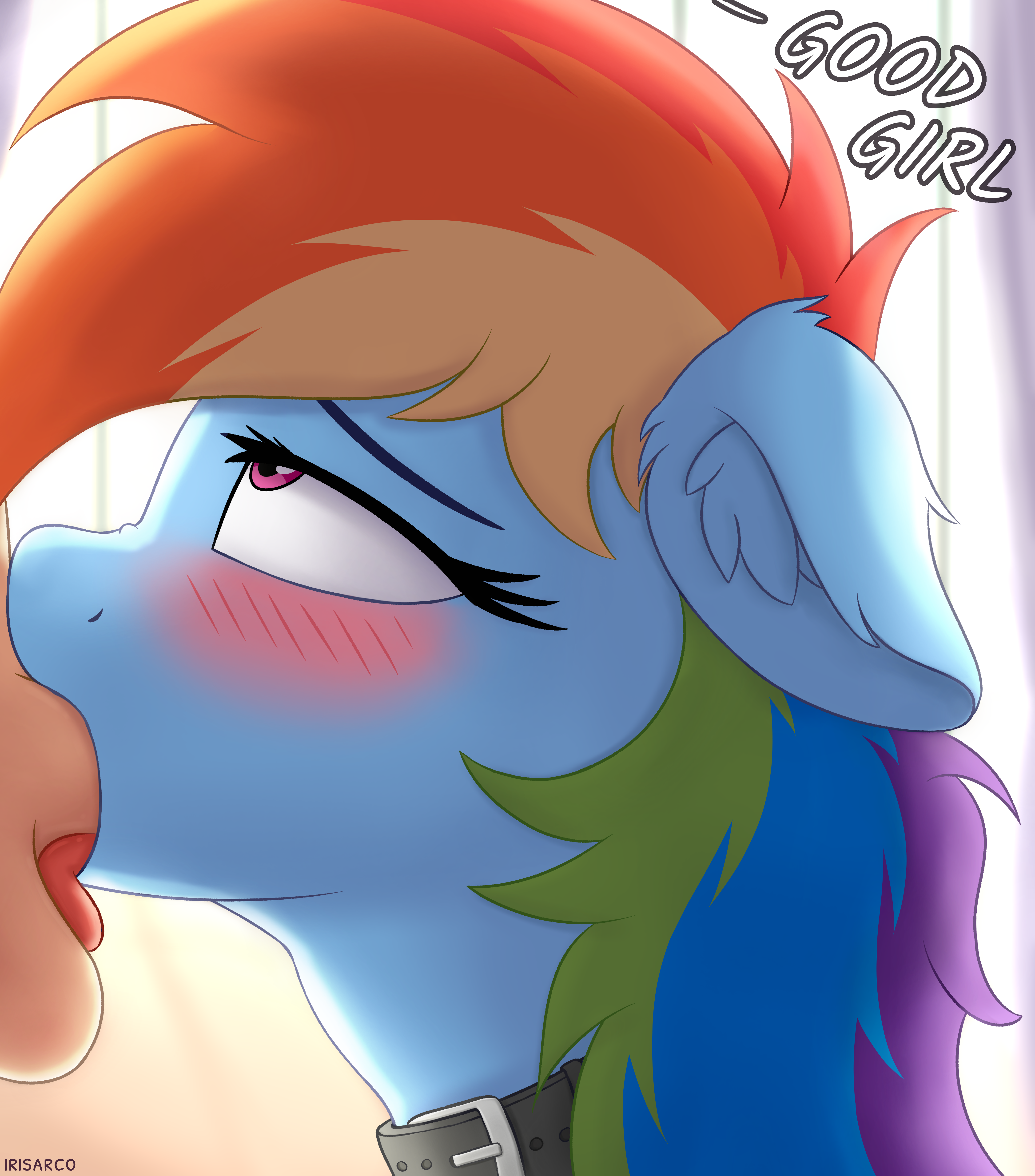 Пост #3701, my little pony,минет,рейнбоу_деш,Furry,сочные,хентай,rule34